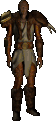 Druid