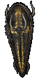 Spirit Ward